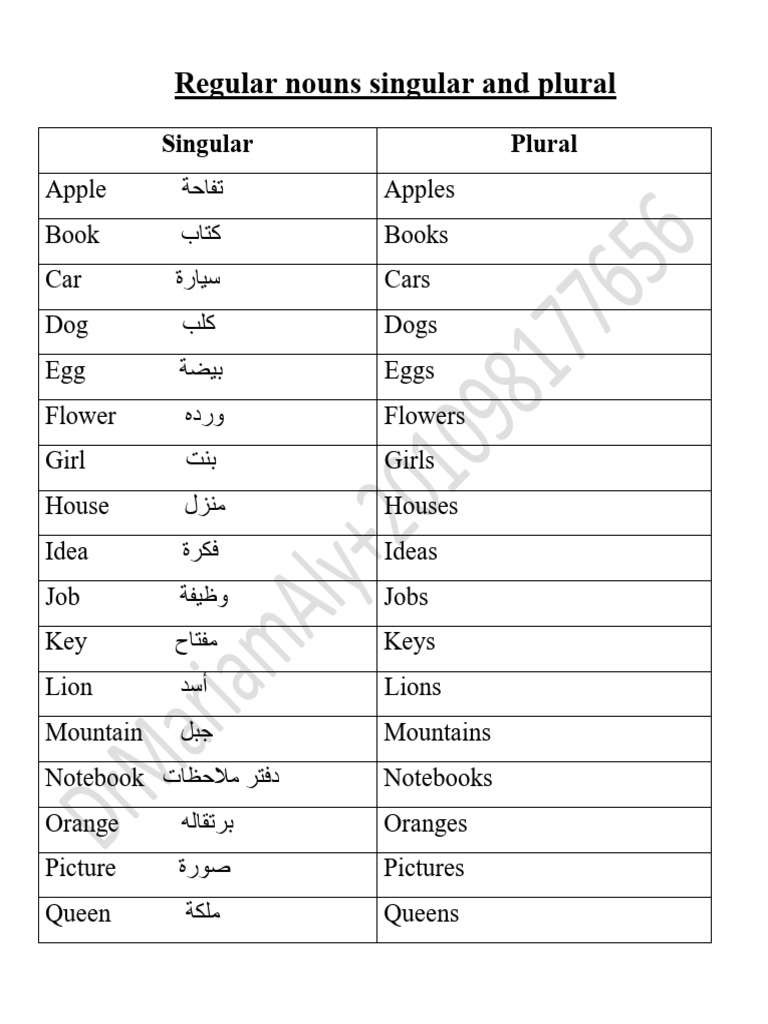 Singular and Plural Nouns List | PDF