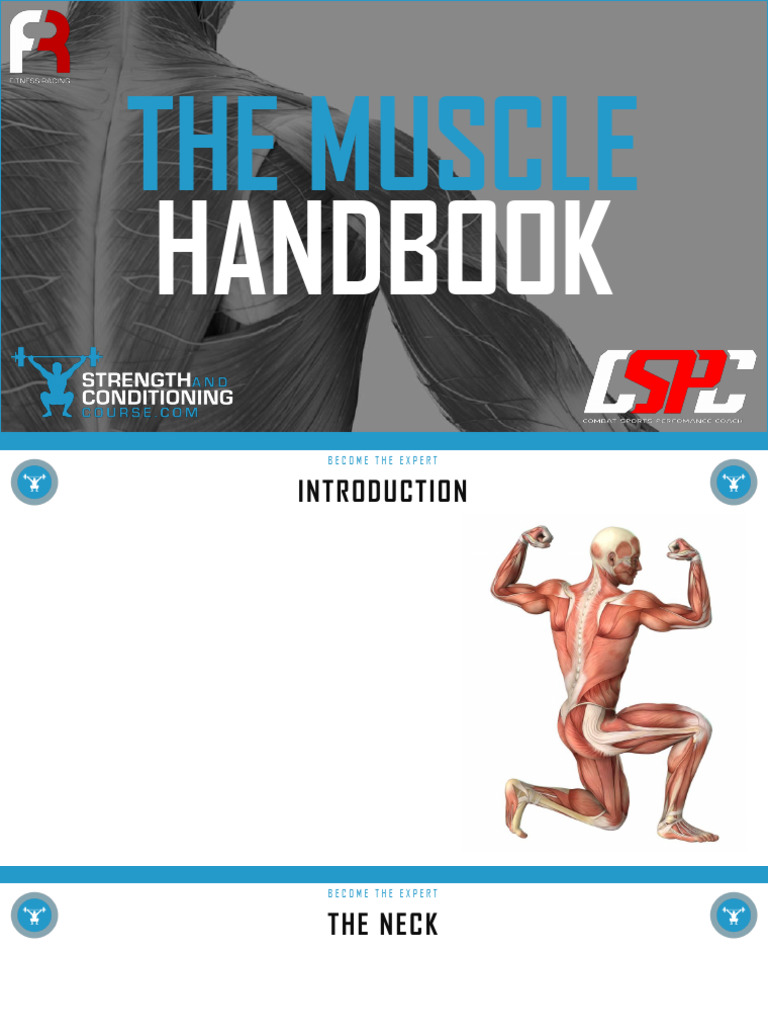 Comprehensive Muscle Anatomy Guide | PDF | Shoulder | Elbow