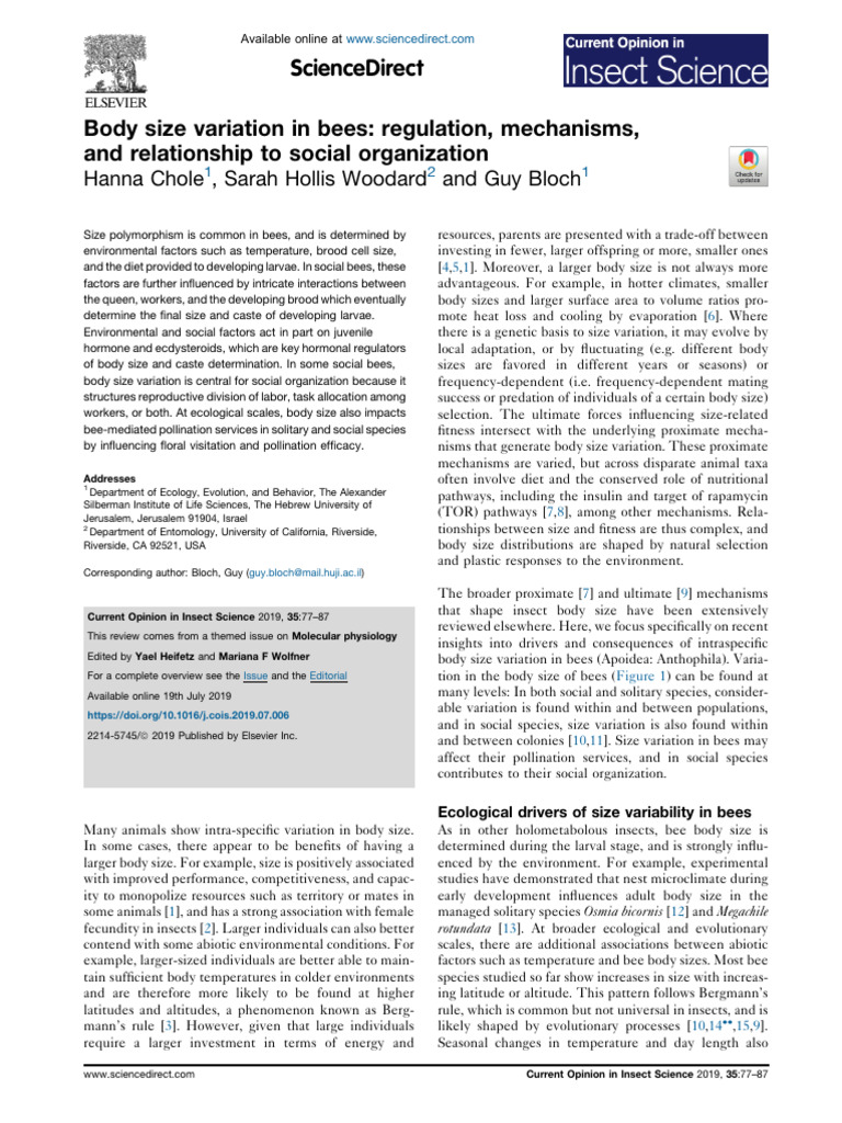 Bee Body Size Variation and Ecology | PDF | Bees | Eusociality