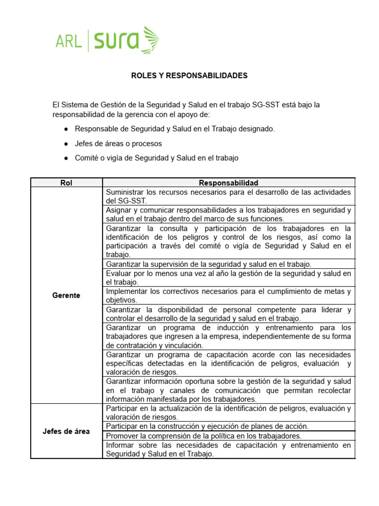 Anexo 4 Roles y Responsabilidades | PDF | Valores | Business