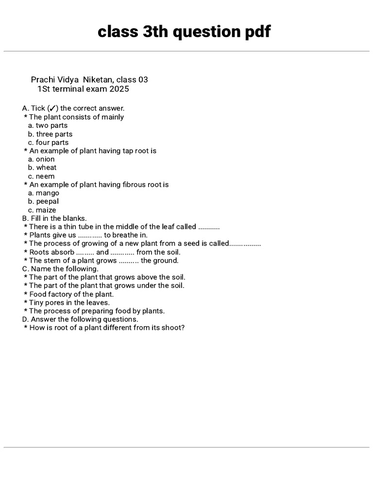 Class 3th Question PDF: Prachi Vidya Niketan, Class 03 1St Terminal ...