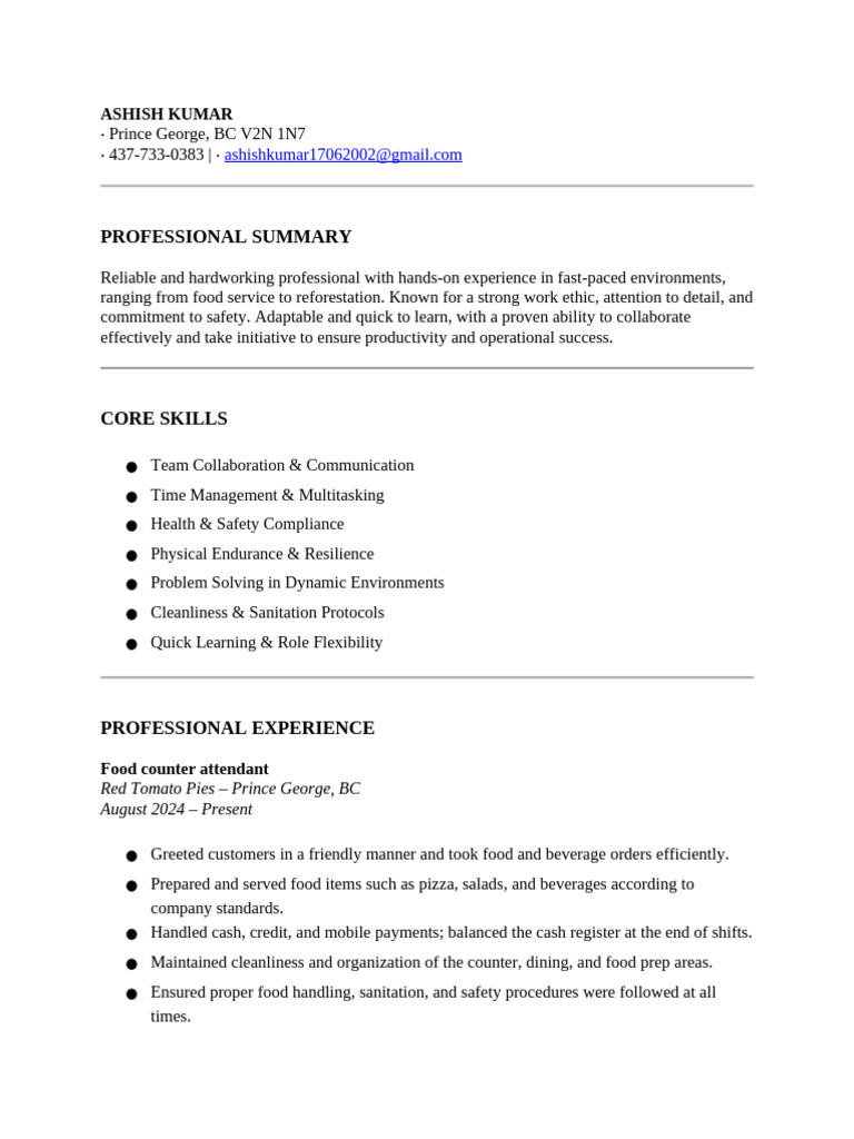 Ashish Kumar: Professional Summary & Skills | PDF