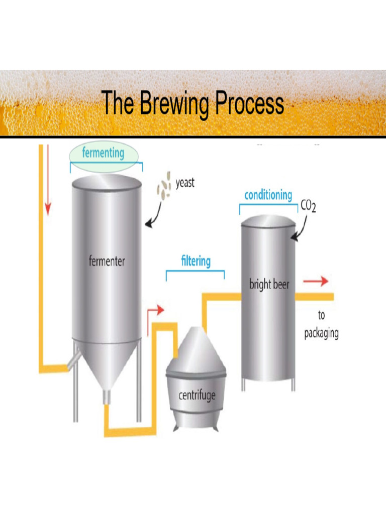 7 - The Chemistry and Biochemistry of Brewing Beer Part III | PDF ...