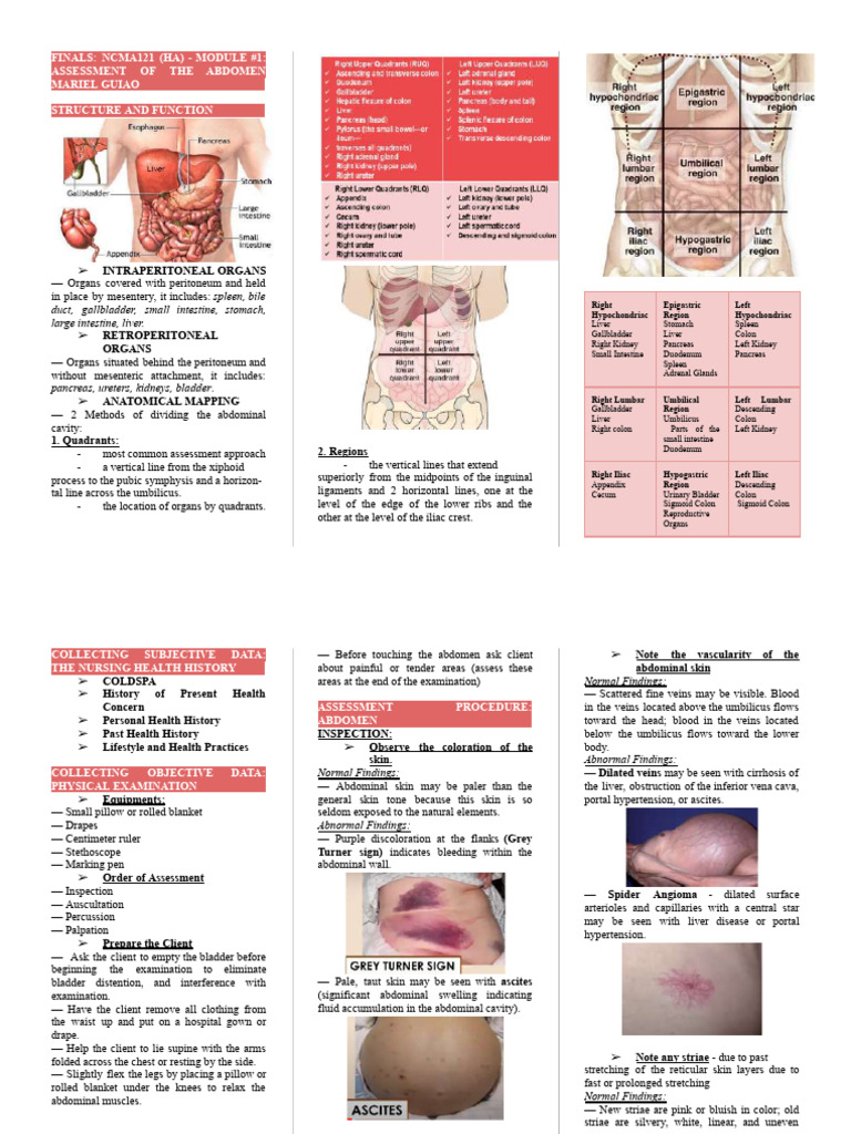 Health Assessment | PDF | Anatomical Terms Of Motion | Musculoskeletal ...