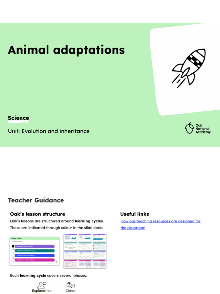 Animal Adaptations | PDF