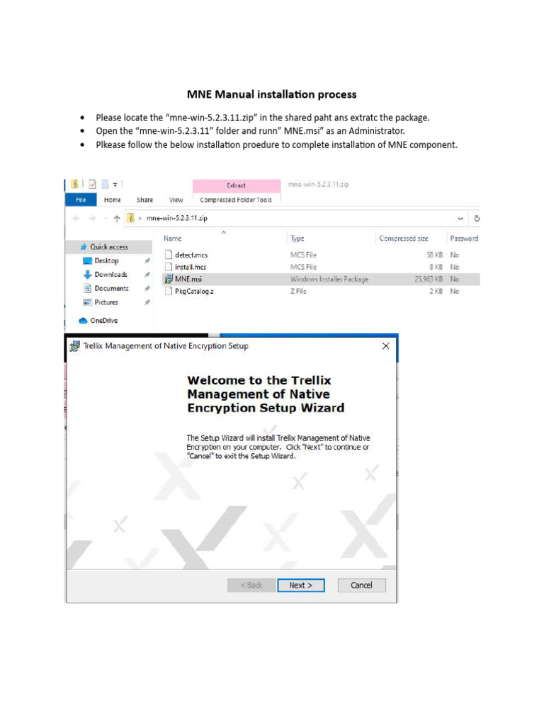 MNE Manual Installation | PDF