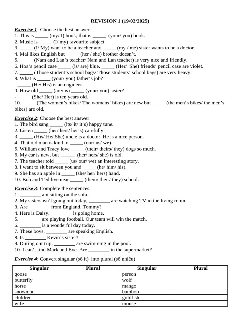 English Grammar Exercises for Beginners | PDF