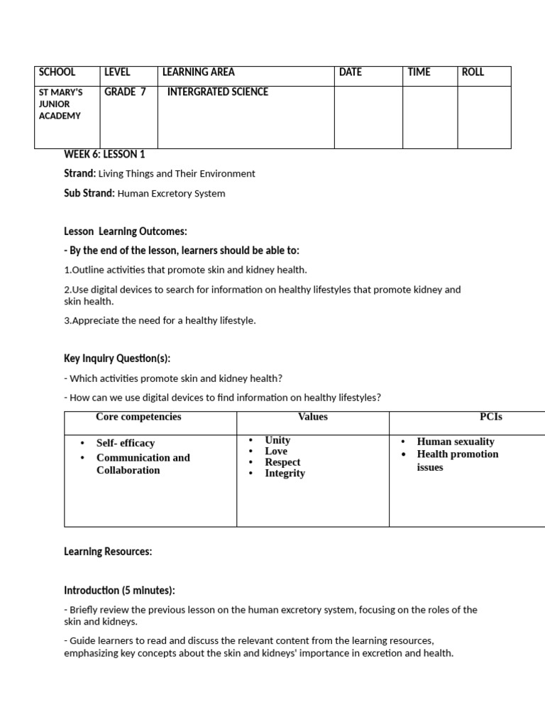Grade 7 Term 3: Kidney & Skin Health Lessons | PDF | Series And ...