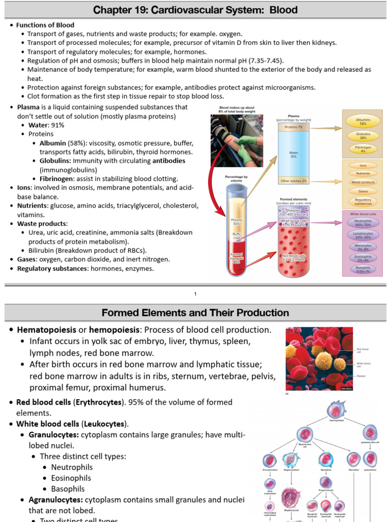Blood Components and Functions Overview | PDF | Tissue (Biology ...