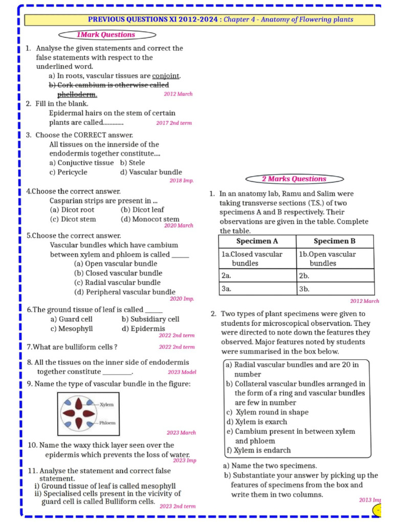 Anatomy Qns | PDF