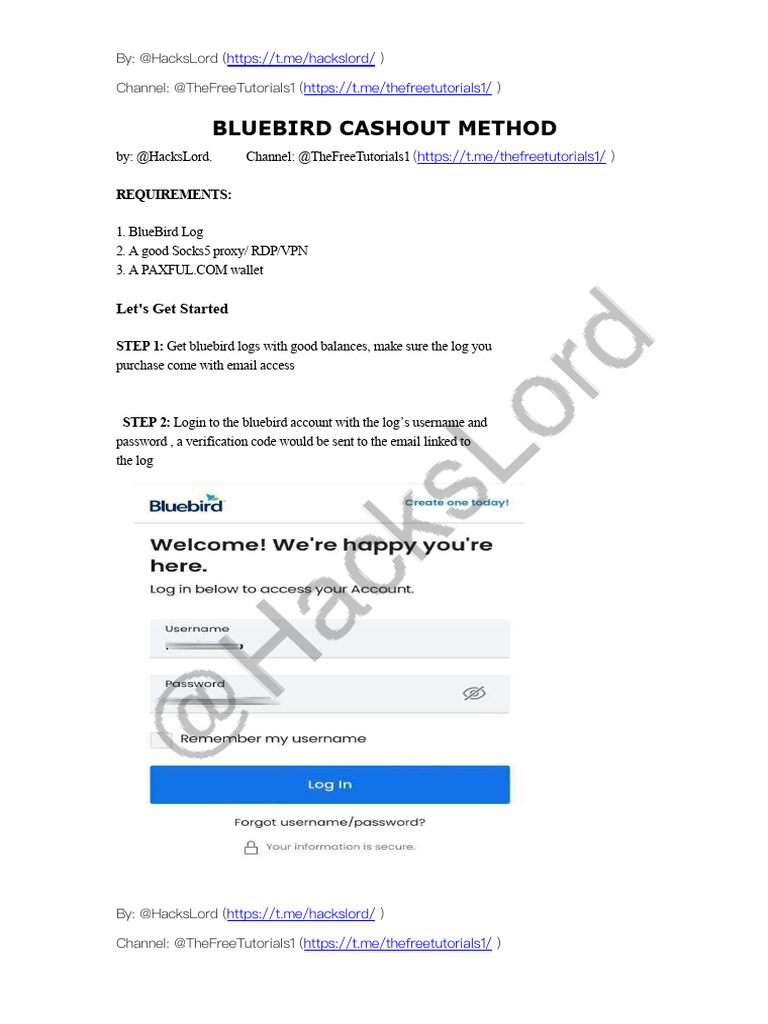 Bluebird Cashout Guide @ (Hackslord) | PDF | Login | Bitcoin