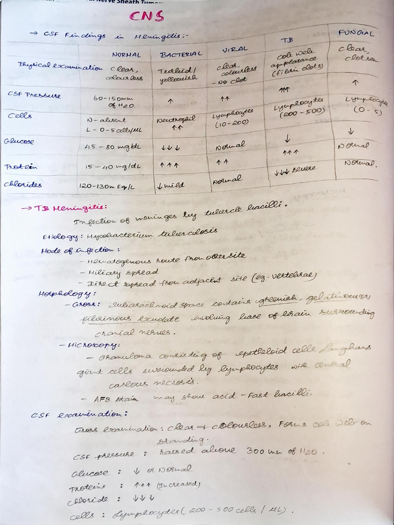 Cns (Pathology) | PDF