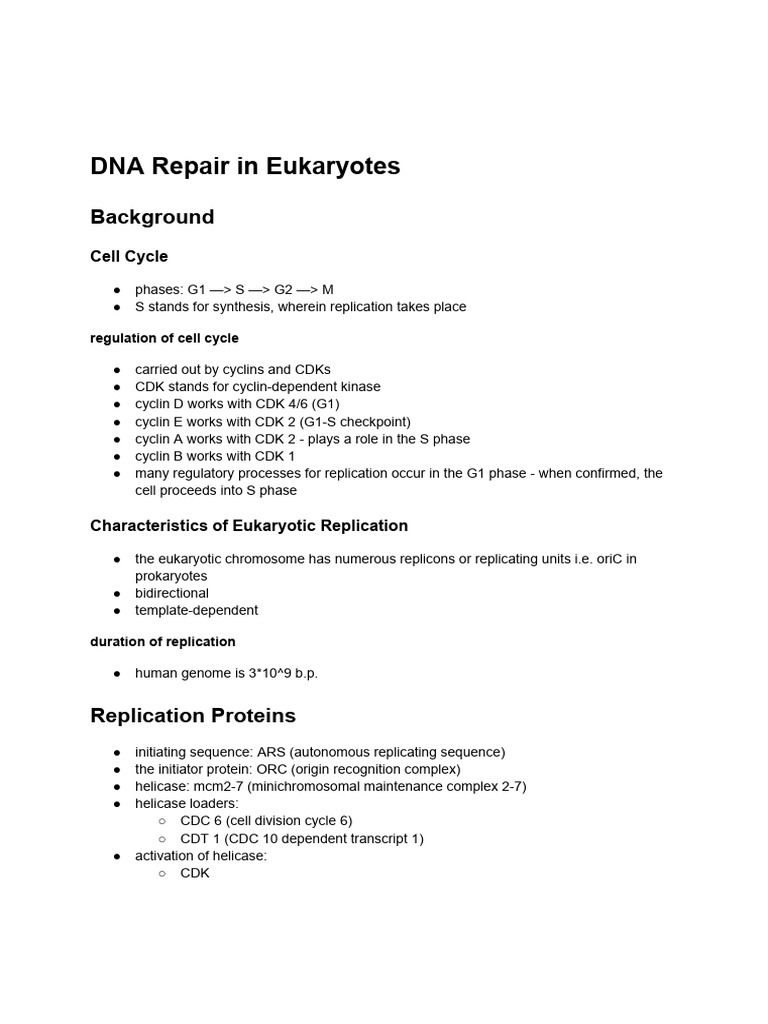 DNA Repair in Eukaryotes | PDF | Dna Replication | Primer (Molecular ...