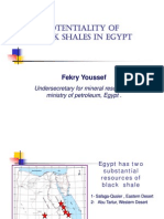 Potentiality of Black Shales in Egypt