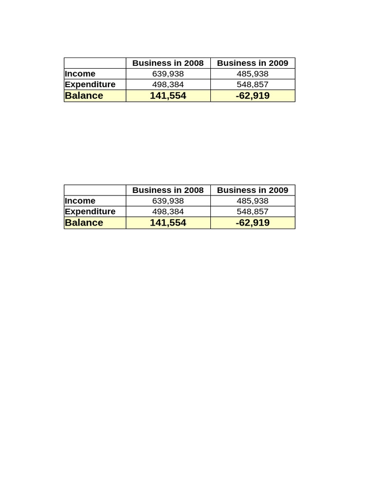 2008-2009 Business Financial Overview | PDF