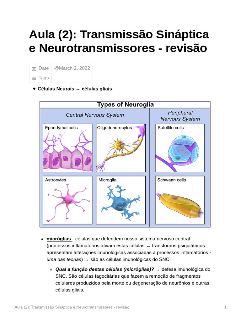 Aula (2) Transmisso Sinptica e Neurotransmissores - Reviso | PDF ...