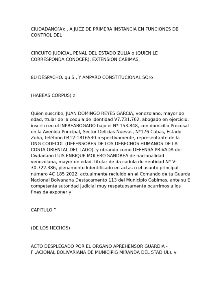 Modelo de Amparo Constitucional | PDF | Ciencias Políticas | Justicia