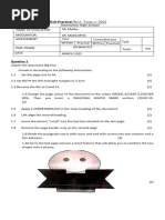 Grade 10 CAT Practical Exam Paper | PDF | Paragraph | Spreadsheet