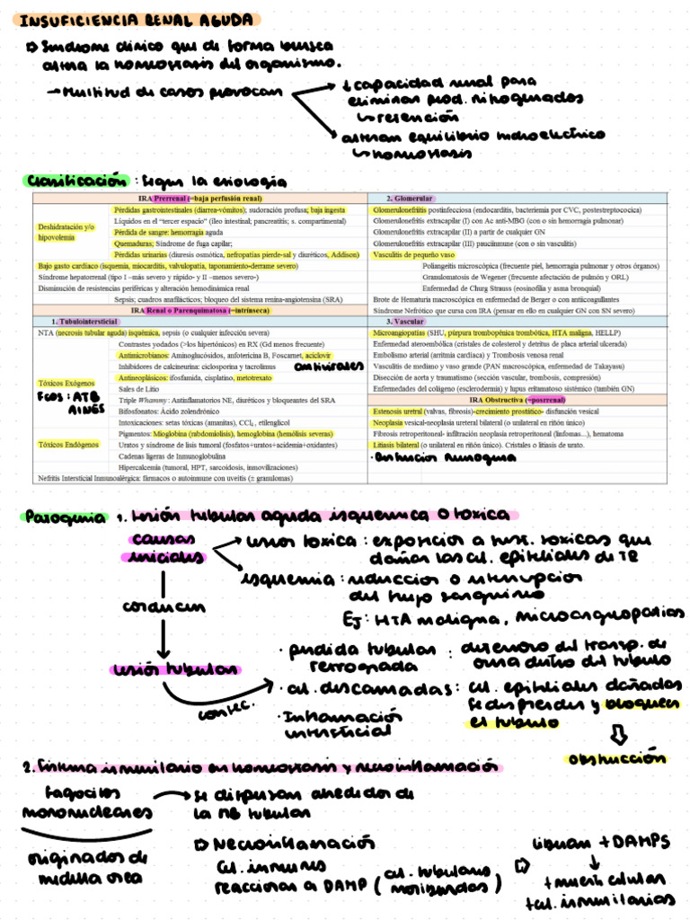Injuria Renal Aguda | PDF