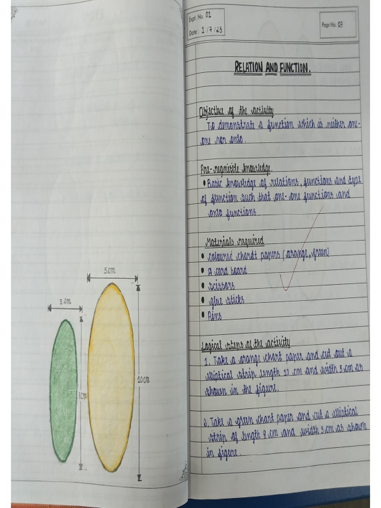 Class 12 Maths Activity | PDF