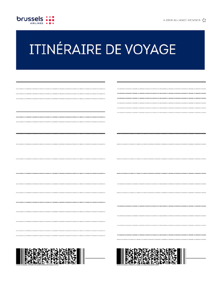 Billet Business Brussels Airlines | PDF | Transport