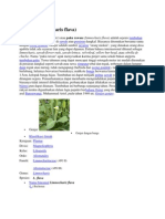 Download Genjer by Herdi Ath Thib SN87519735 doc pdf