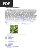 Download Genjer by Herdi Ath Thib SN87519735 doc pdf