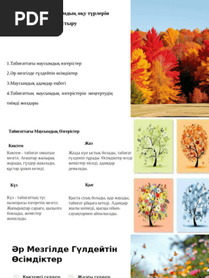 Нағыз порно 2012