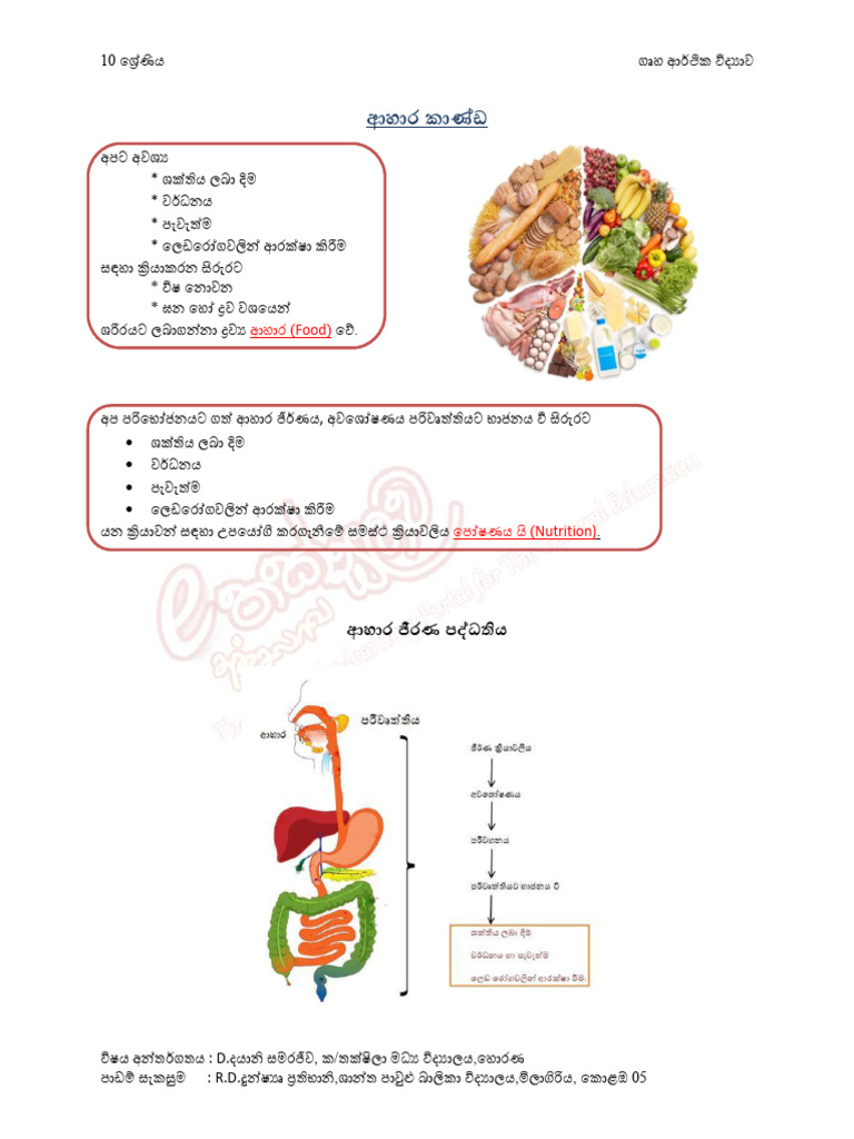 Lesson | PDF