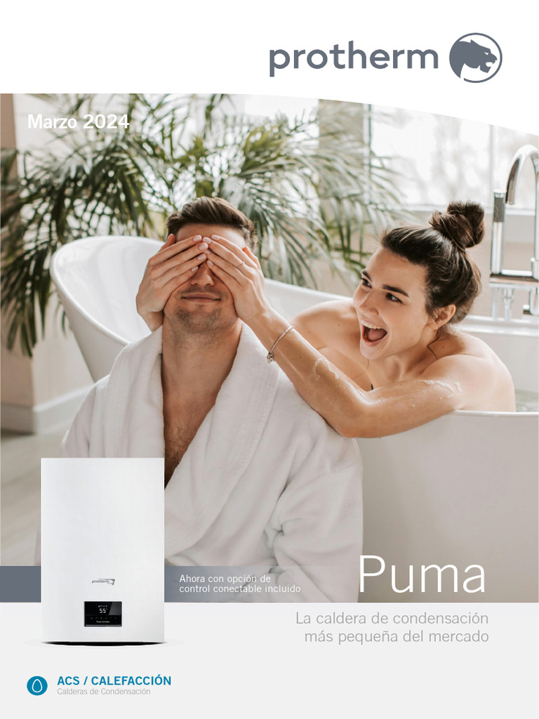 Manual Caldera Protherm Puma 18/24 | PDF | Corrupción política