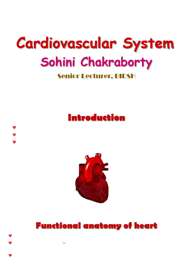 Cardiovascular System 1 | PDF | Heart Valve | Atrium (Heart)