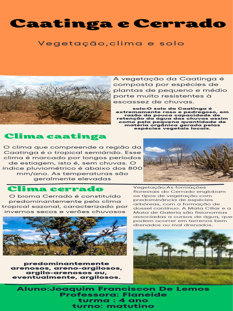 Solo e Vegetação da Caatinga e Cerrado | PDF