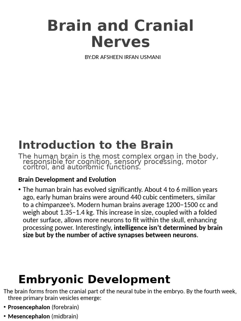 Brain and Cranial Nerves | PDF | Cerebrum | Brain