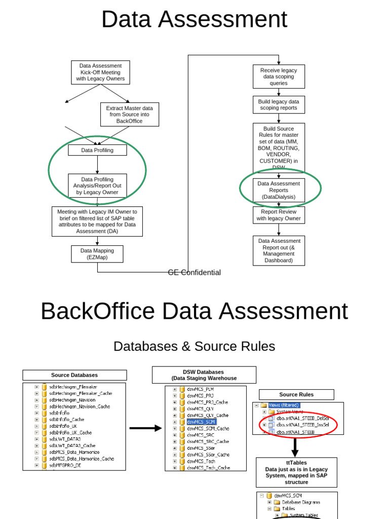 Data Assessment STEPS | PDF | Databases | Data Management Software
