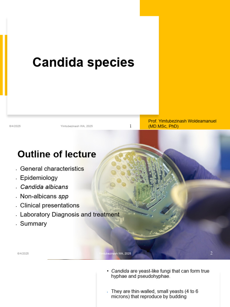 6 - Candida - 2025 | PDF | Candidiasis | Candida (Fungus)