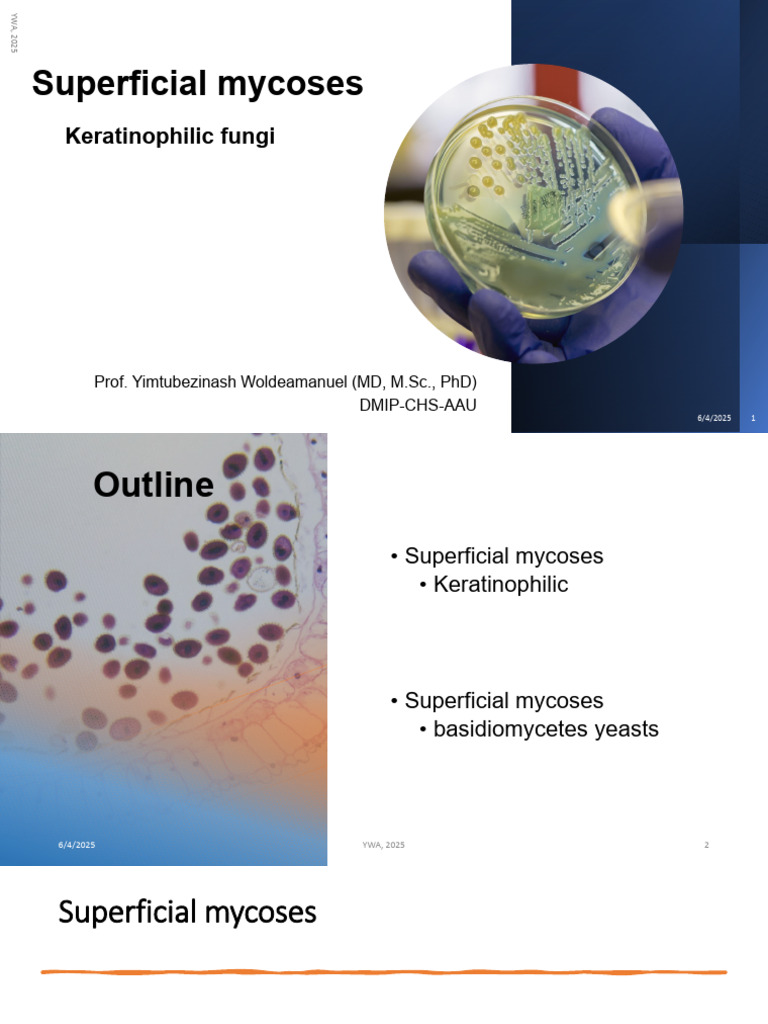 Overview of Superficial Mycoses | PDF | Mycology | Fungus
