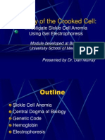 Mystery of The Crooked Cell:: Investigate Sickle Cell Anemia Using Gel Electrophoresis