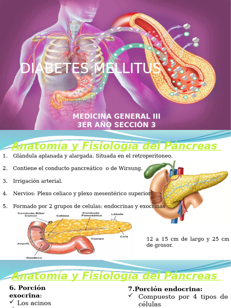 Med Gen - Diabetes Mellitus. | PDF | Diabetes | Páncreas