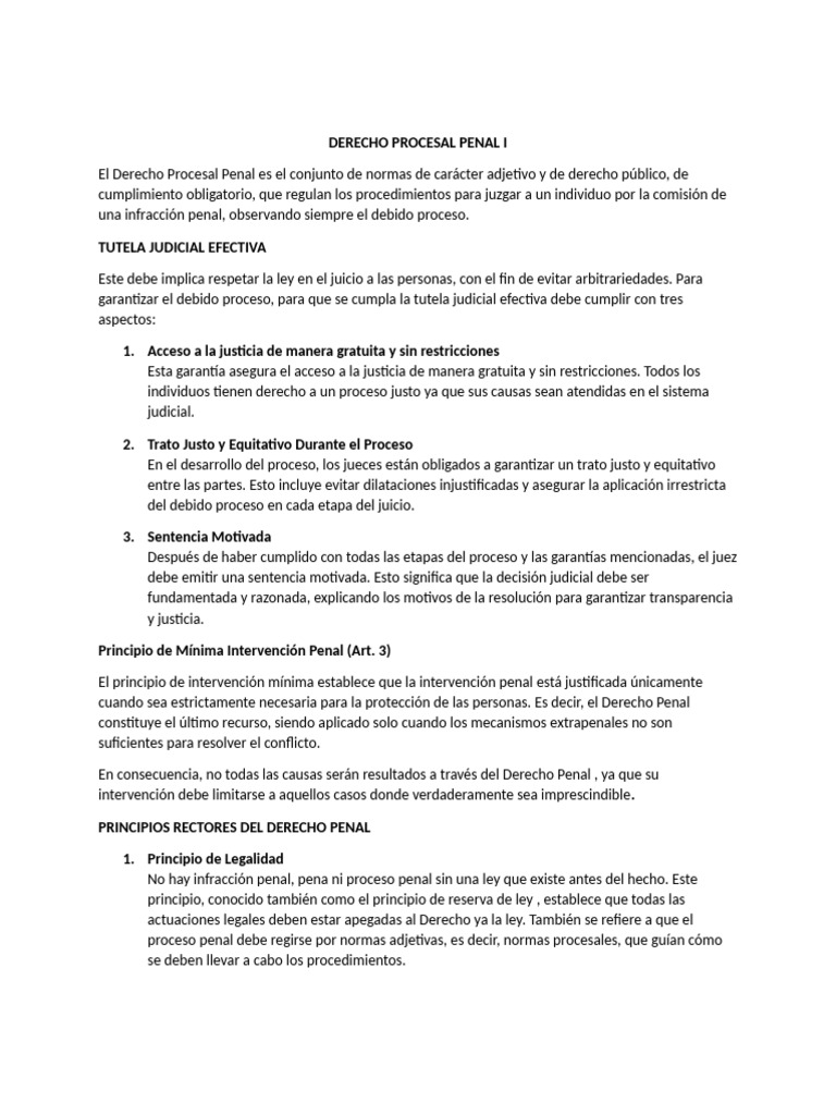 Principios del Derecho Procesal Penal | PDF | Debido al proceso ...