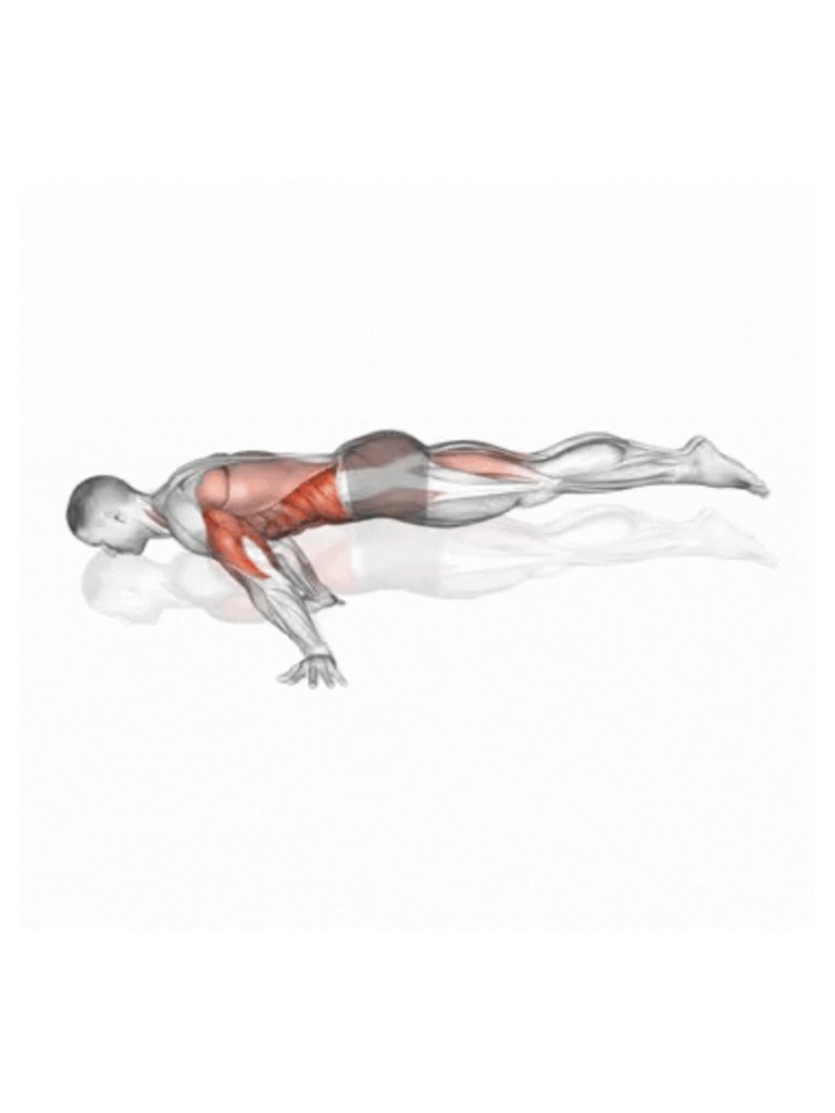 Muscle Up-2 | PDF