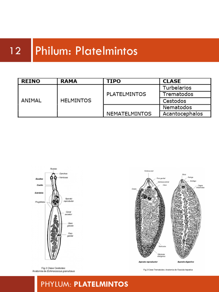 Ilovepdf Merged (11) | PDF | Parasitismo | Biología