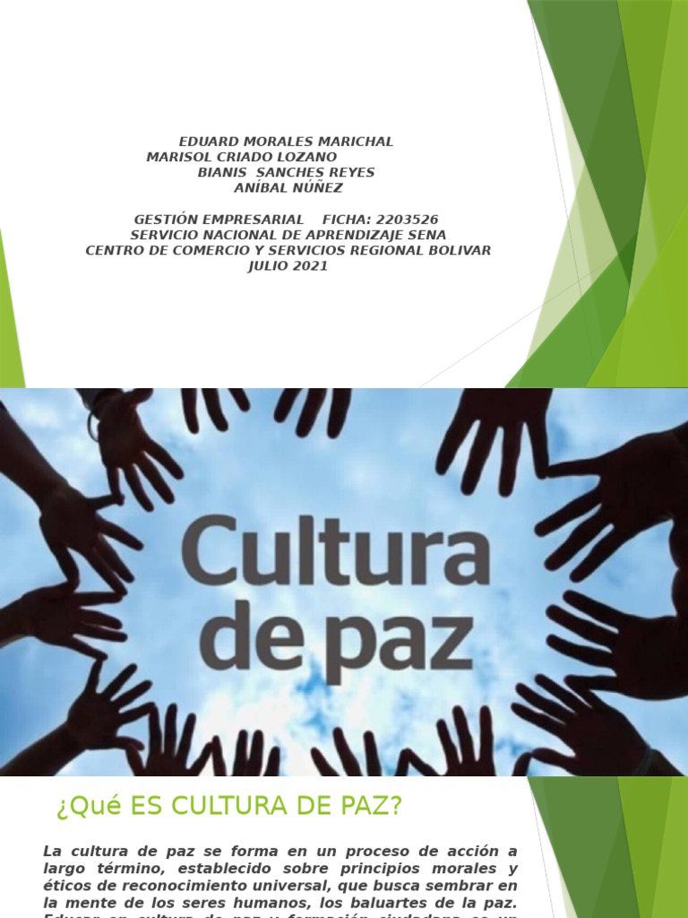 Promoviendo la Cultura de Paz en Colombia | PDF | Paz | Derechos humanos