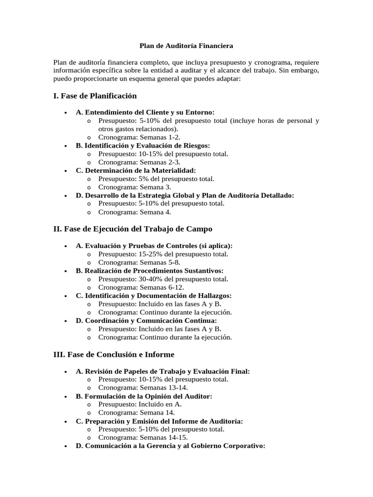 Plan de Auditoría Financiera Detallado | PDF | Presupuesto | Auditoría