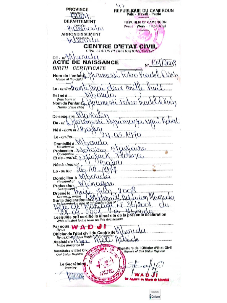 Acte de Naissance Et Photocopie Certifiée | PDF