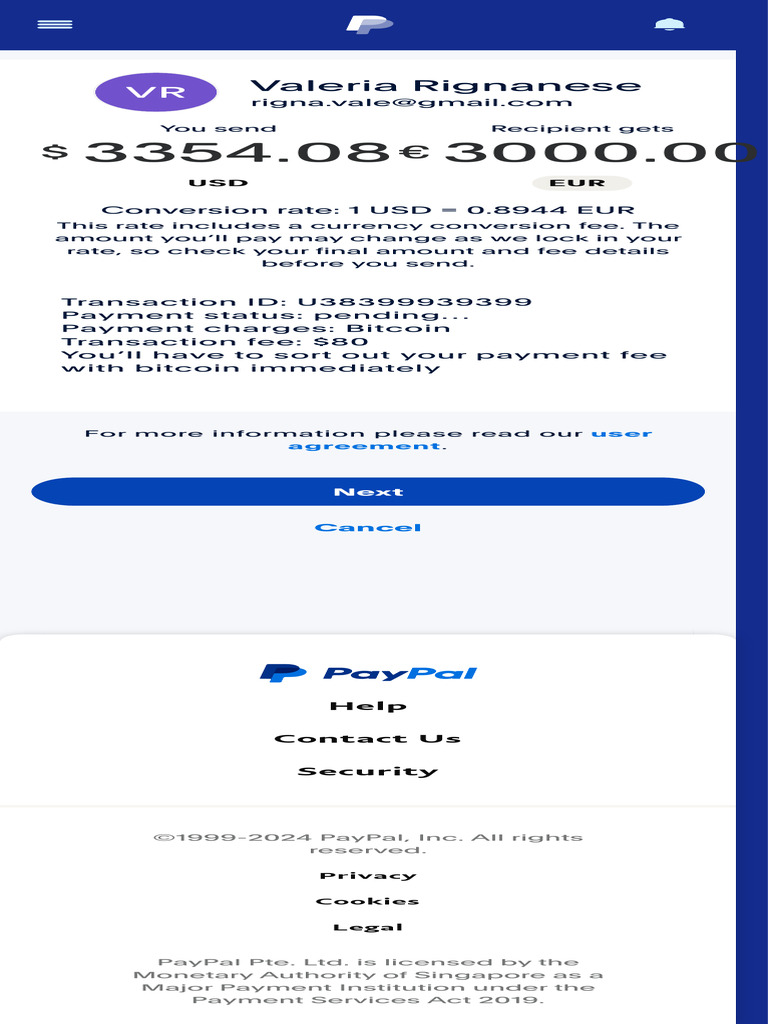 PayPal Currency Conversion Details | PDF