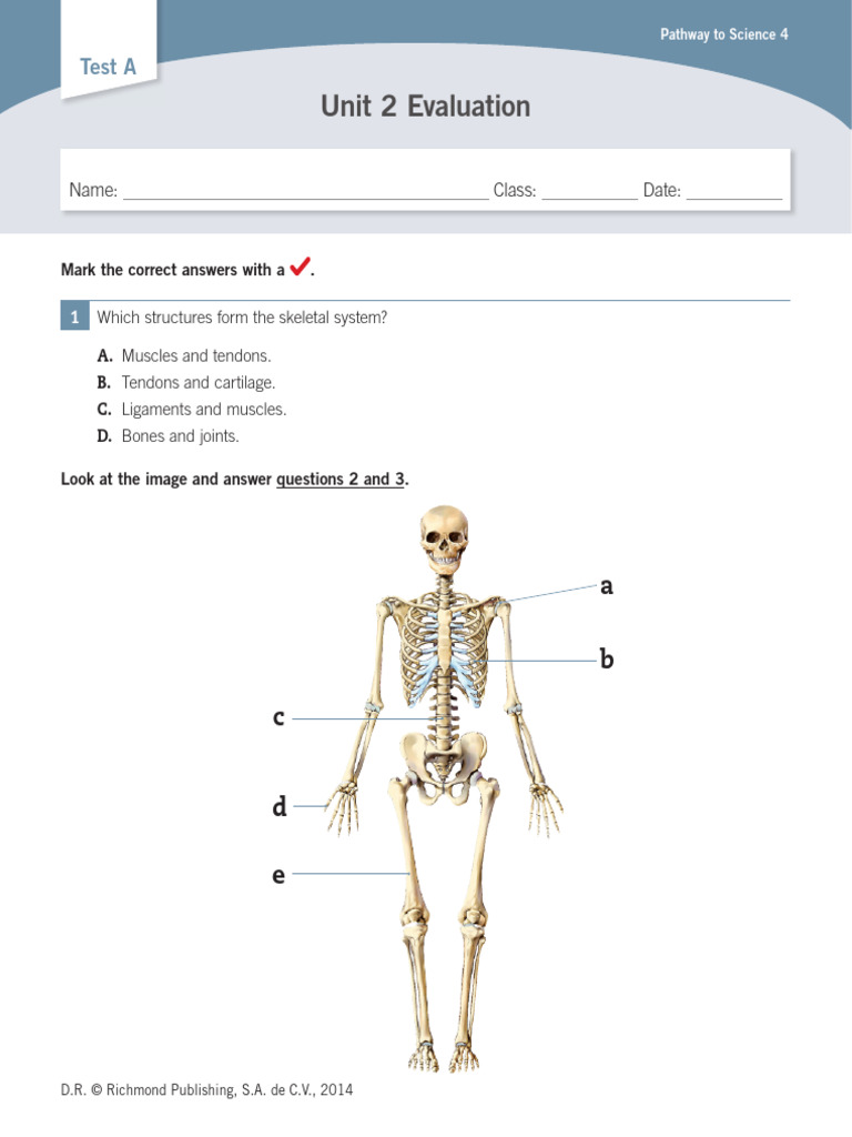 Unit 2 Science Evaluation Test | PDF | Arm | Skeleton