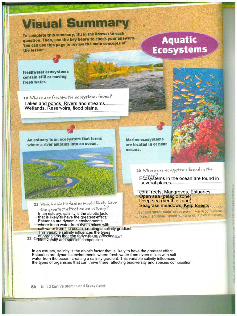Understanding Estuary Ecosystems and Salinity | PDF
