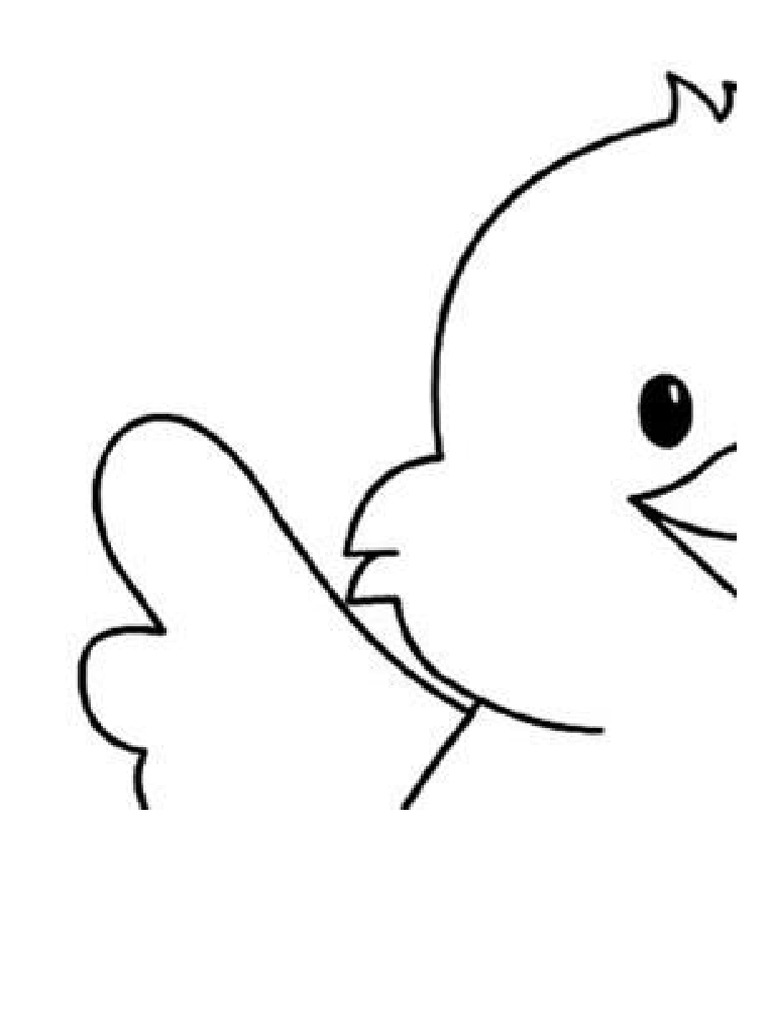 Pollito | PDF