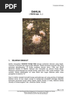 Download Dahlia by dhiforester SN8754032 doc pdf