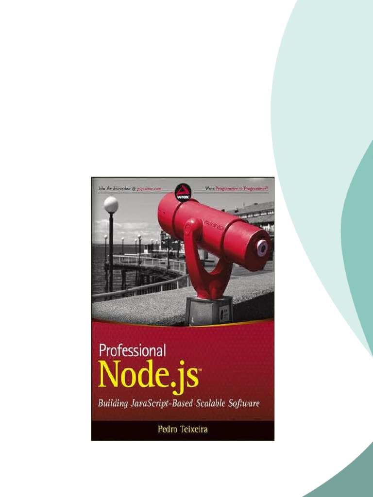 Professional Node js Building Javascript Based Scalable Software 1st ...